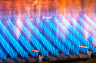 Potteries gas fired boilers